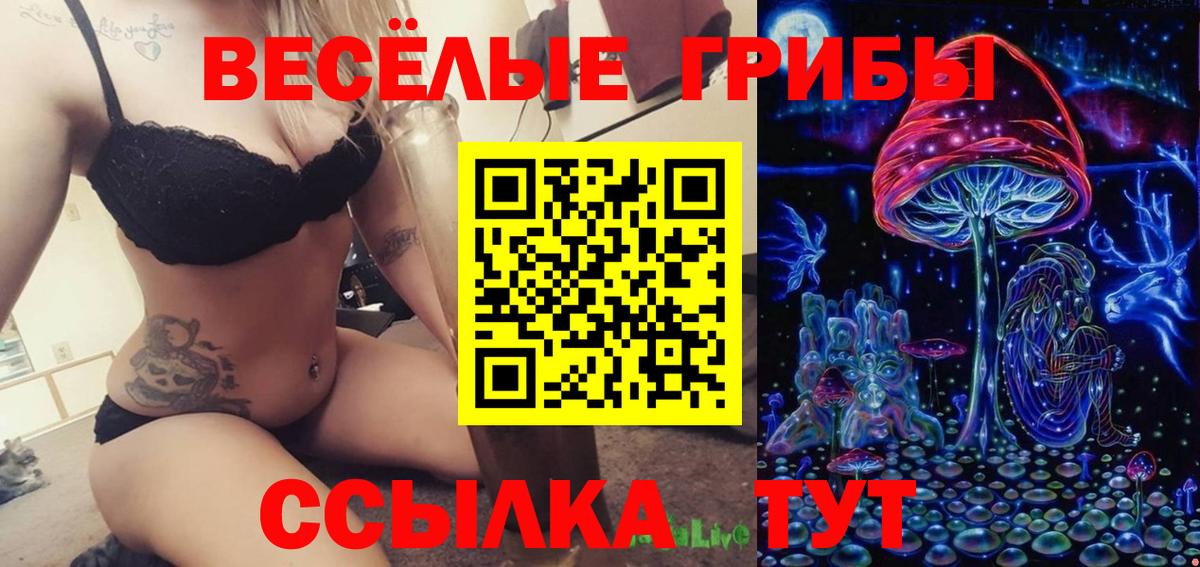 Дмитров  Галлюциногенные грибы Psilocybine cubensis  Вход с VPN 