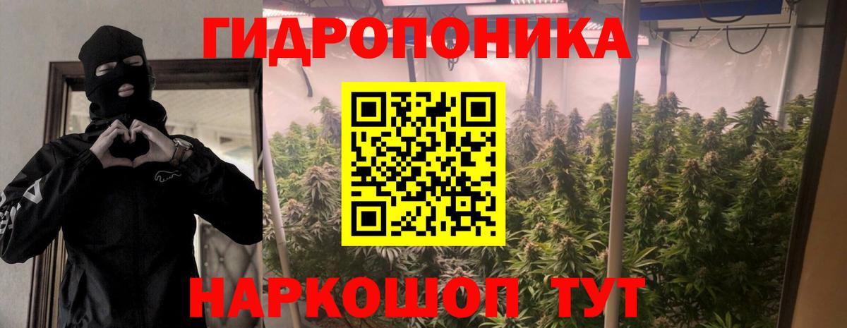 Каннабис MAZAR Дмитров